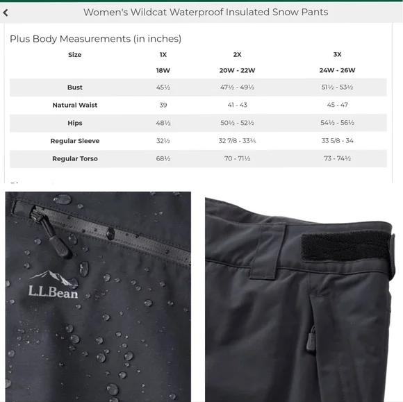 L.L.Bean Wildcat Waterproof Insulated Black Snow Ski Pants Women's Size 3X Plus - Picture 16 of 17